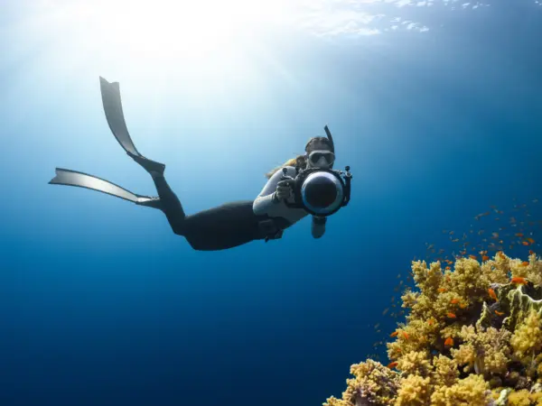 Jeddah: Sea & History in 2 Days