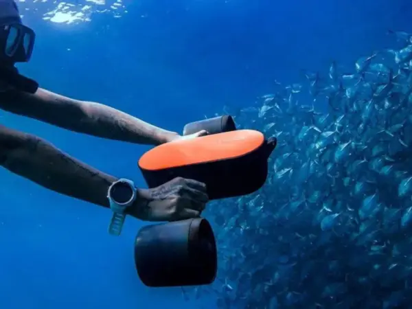 Request Your Activity