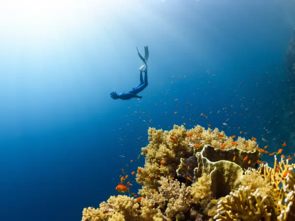 Jeddah: Sea & History in 2 Days