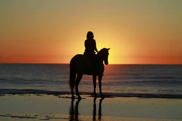 Horse Riding by the Red Sea