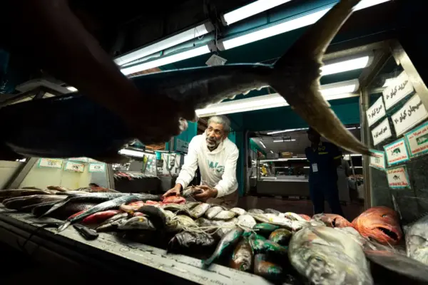 Red Sea Wonders & AlUla Treasures