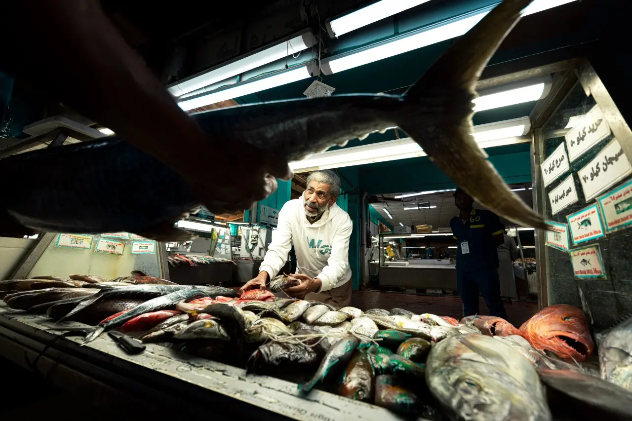 Red Sea Wonders & AlUla Treasures - Image 4