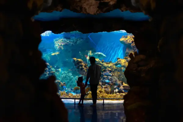 Red Sea Wonders & AlUla Treasures