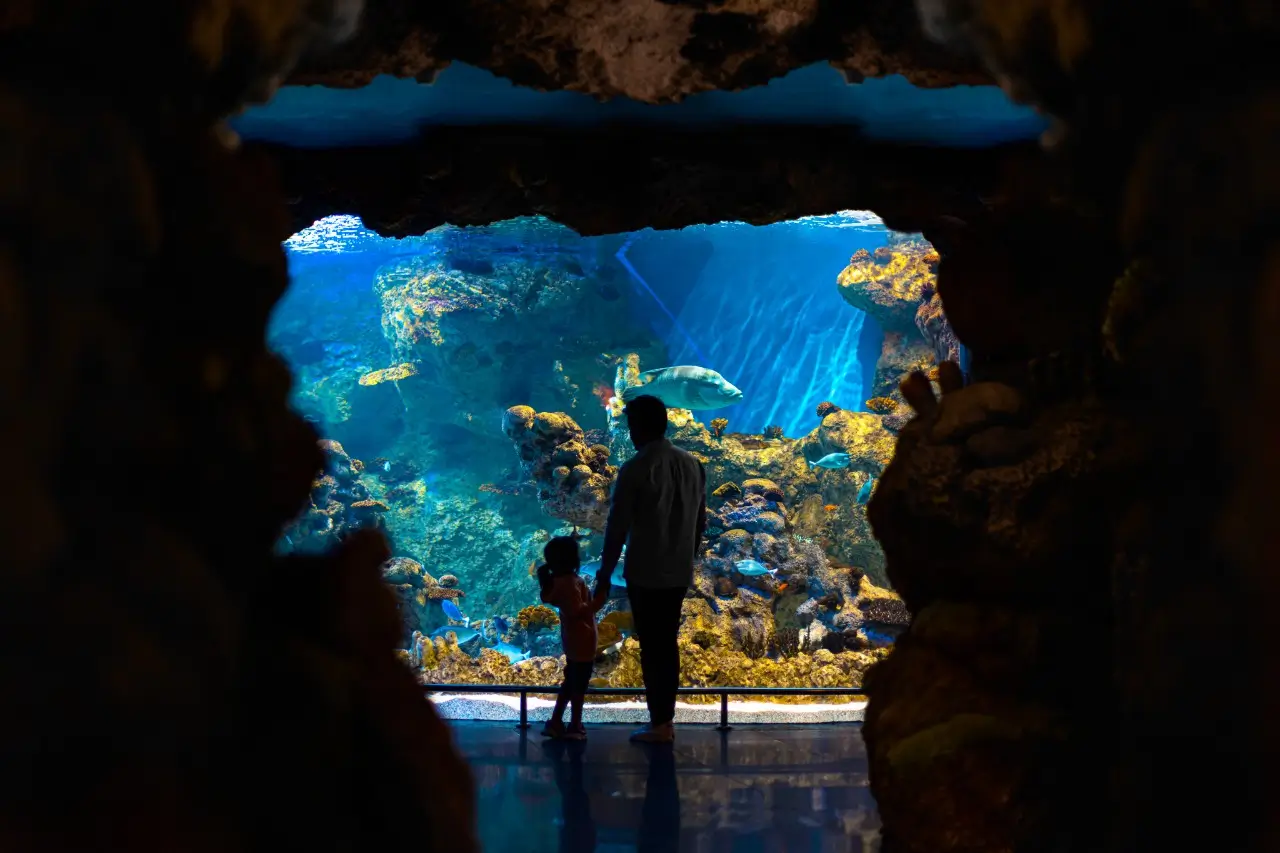 Red Sea Wonders & AlUla Treasures - Image 16