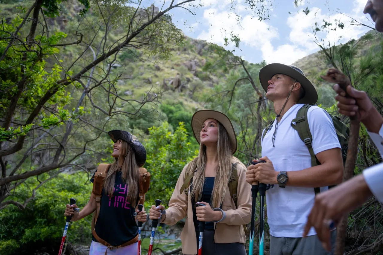 Request Your Activity - Image 35