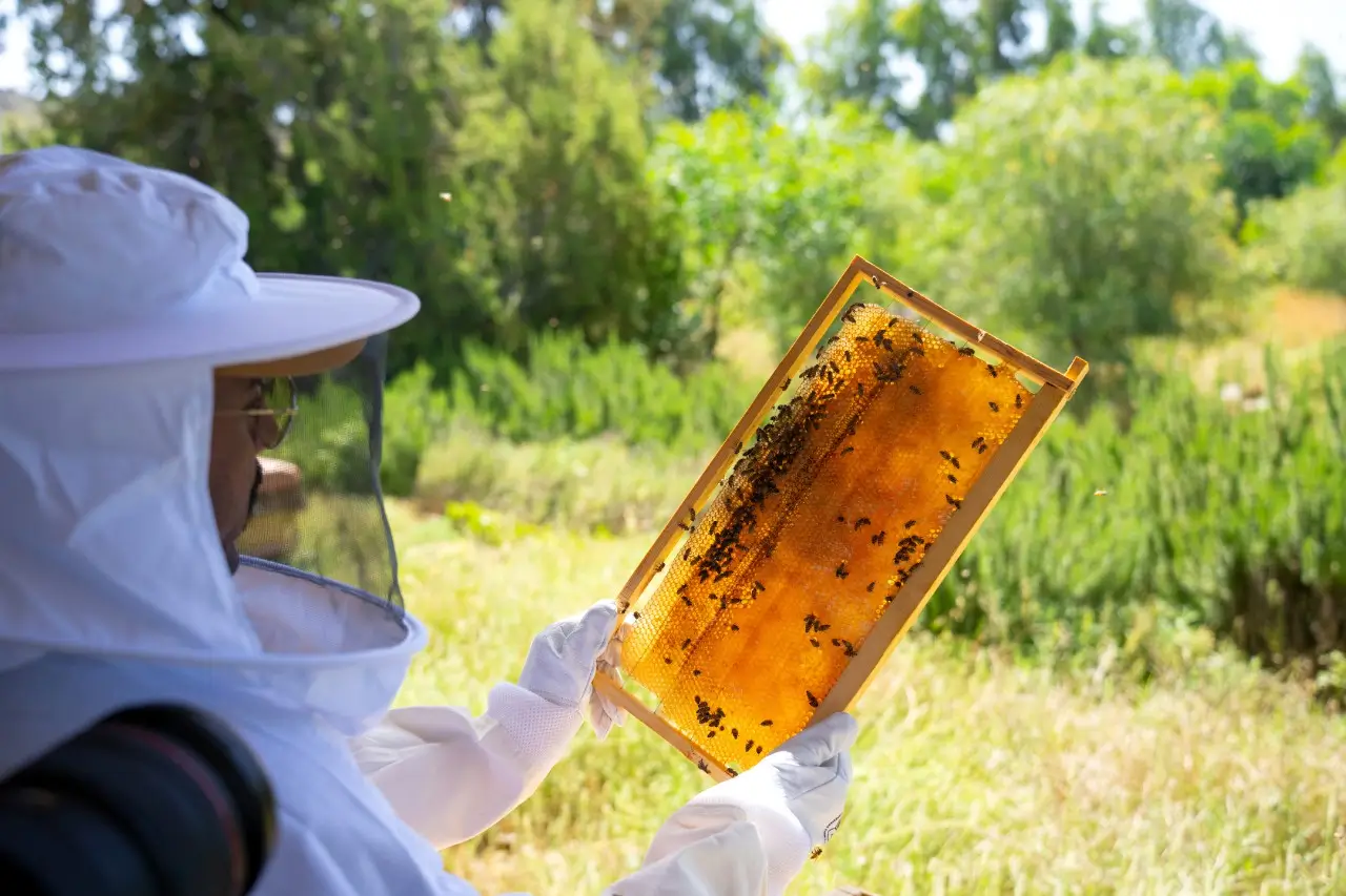 Custom Tour Service - Image 4