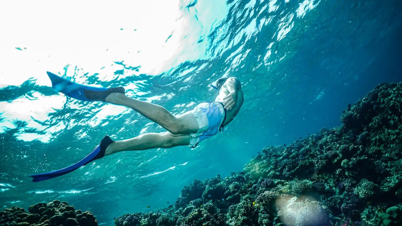 Snorkeling Boat Trip - Image 3