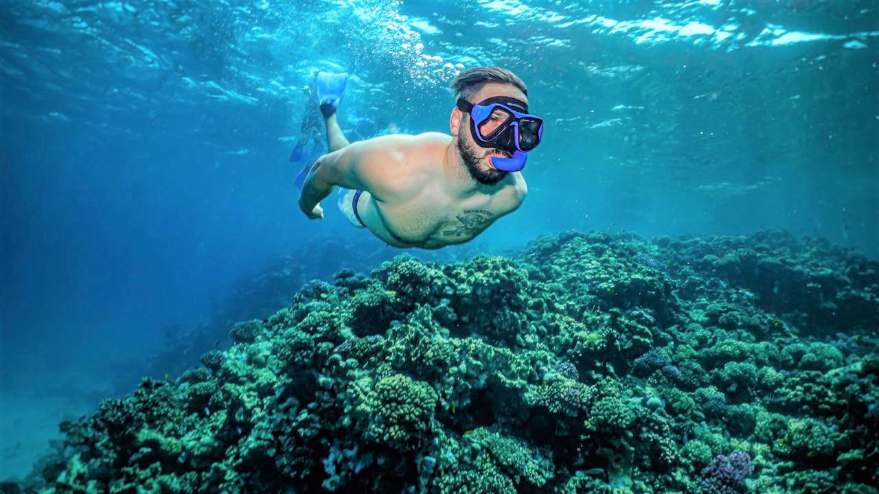 Red Sea Wonders & AlUla Treasures - Image 15