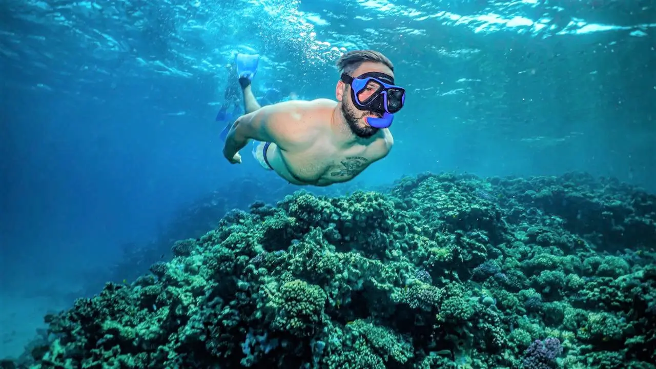 Snorkeling Boat Trip - Image 8