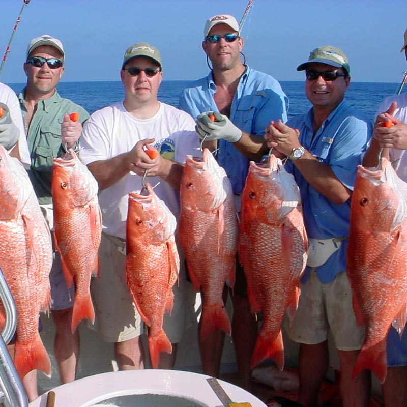 Fishing Adventure in Jeddah - Image 5