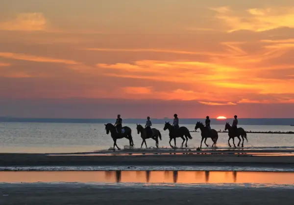 Horse Riding by the Red Sea