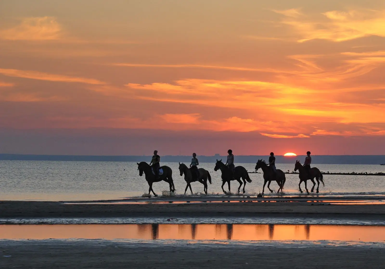 Sunset horseback riding shutterstock 1600
