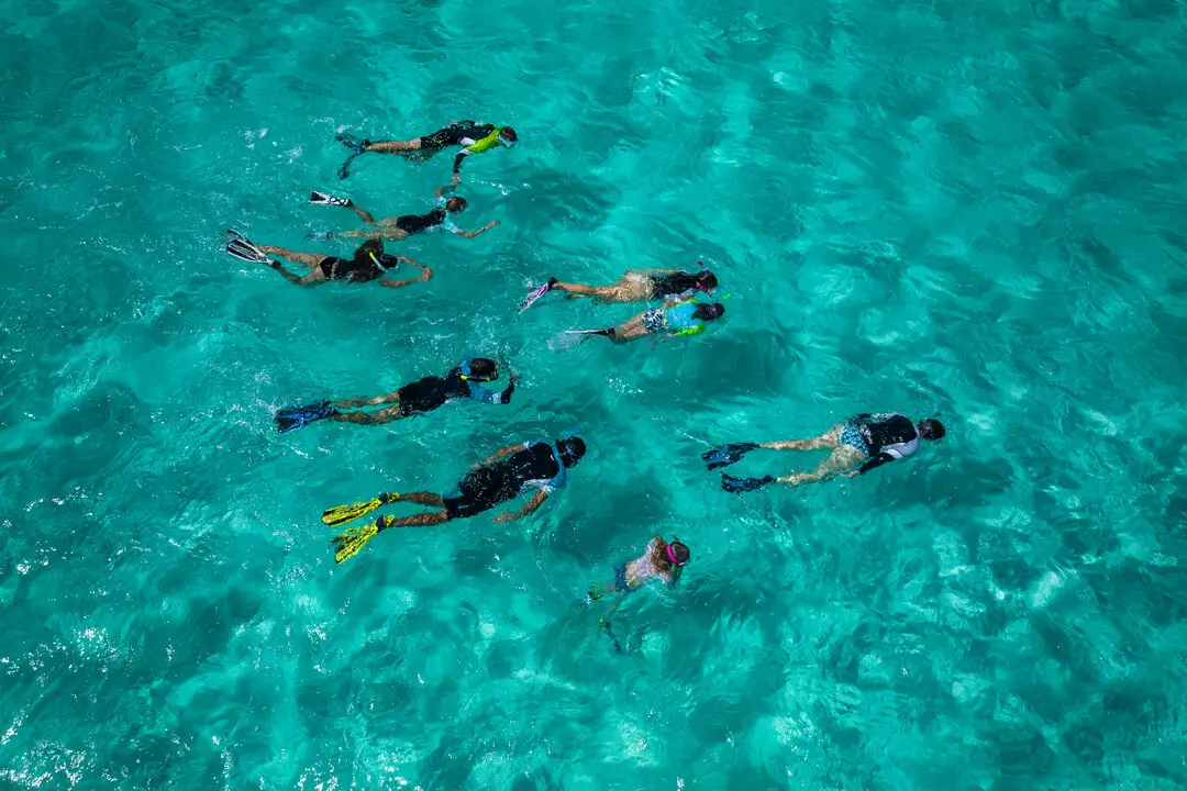 Snorkeling Boat Trip - Image 4